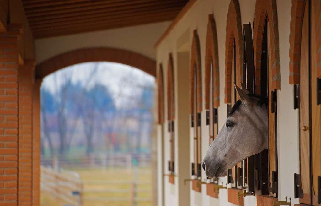 Agriturismo Il Boschetto Ornago Facilități foto